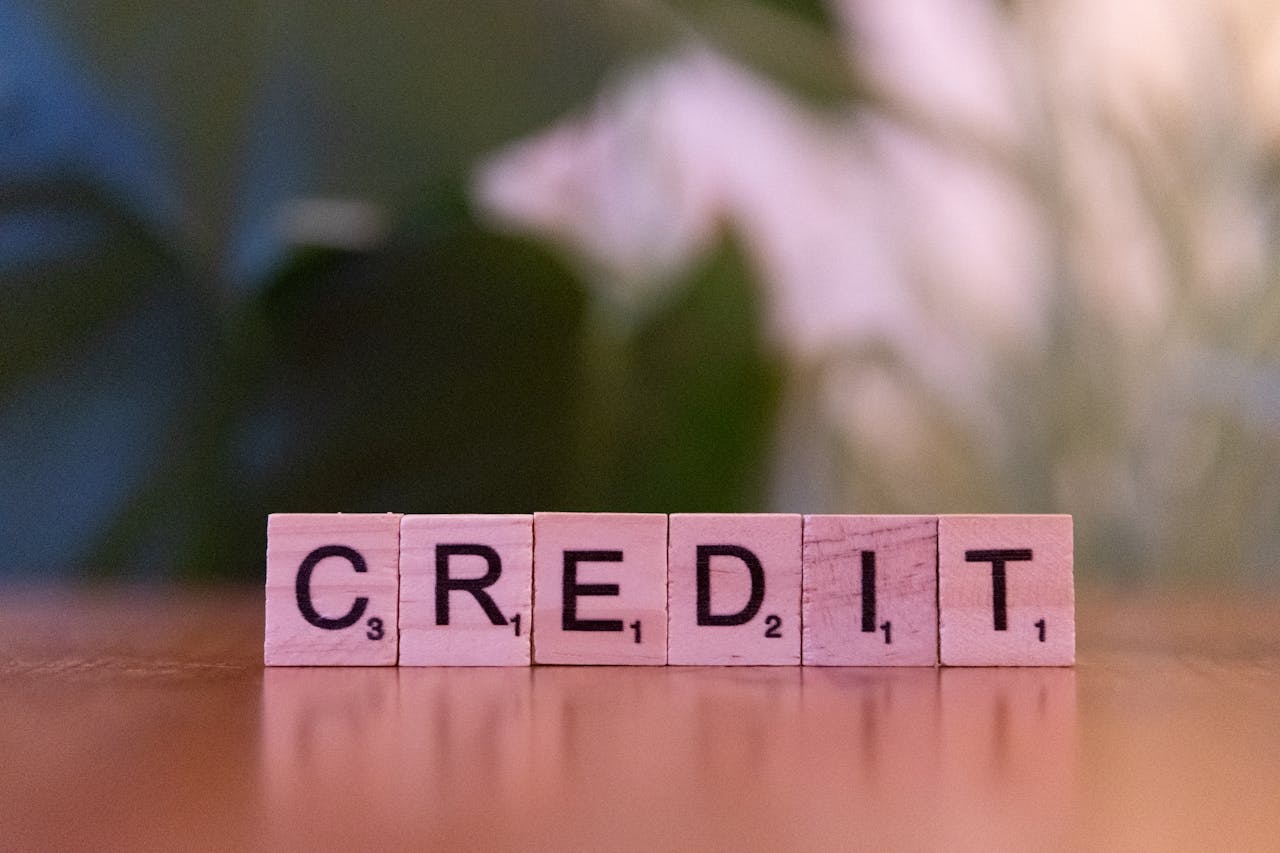 about-01 Close-up of wooden blocks spelling 'credit' with a blurred leafy background.
